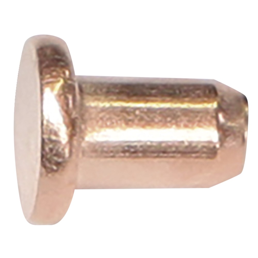 100 Rivets Diam. 3 X 4.5