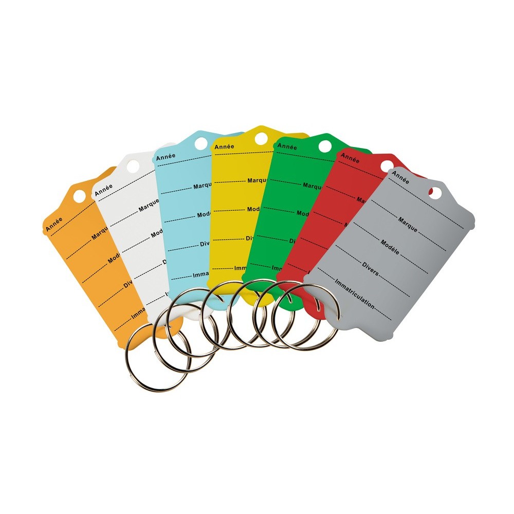Sleutelhanger Gemaakt Van Hard Plastiek - Blauw - Per 200 Stuks