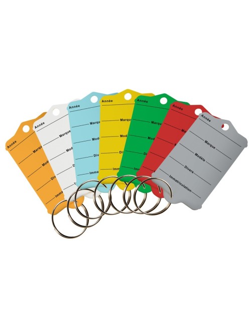 Porte-clés en plastique dur - Gris - Par 200 pièces