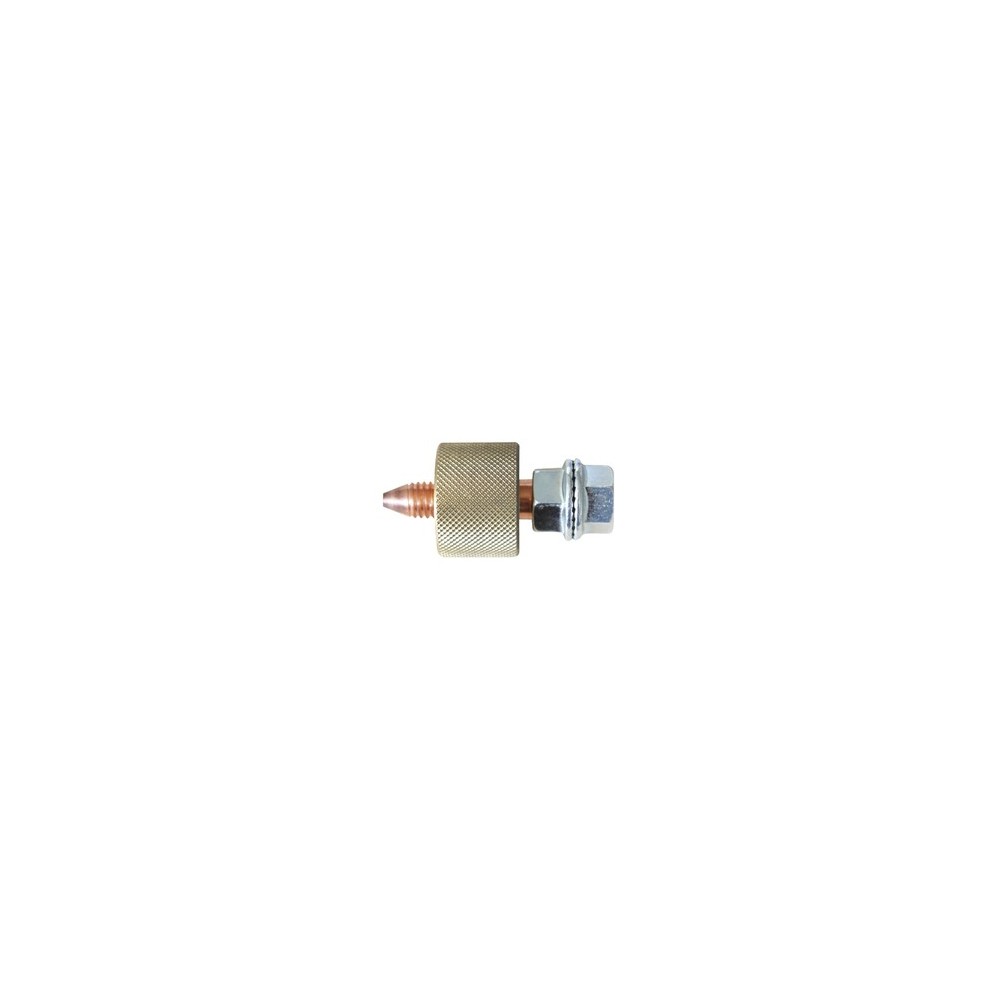 Elektrode Voor Magnetische Massa
