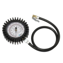 Bandencontrolemeter (Diameter 80 Mm) 0-170 Psi En 0-12 Bar, Euro Clip-On Connector