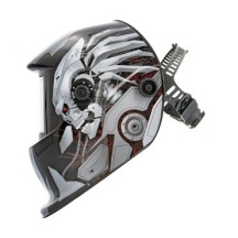 Lcd-Masker Venus 9/13 G Iron True Color