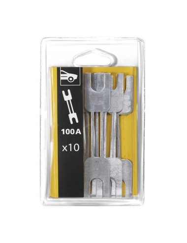 Kit 10 Zekeringen 100A / Prostart / Gystart - Blister