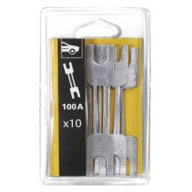 Kit 10 Zekeringen 100A / Prostart / Gystart - Blister