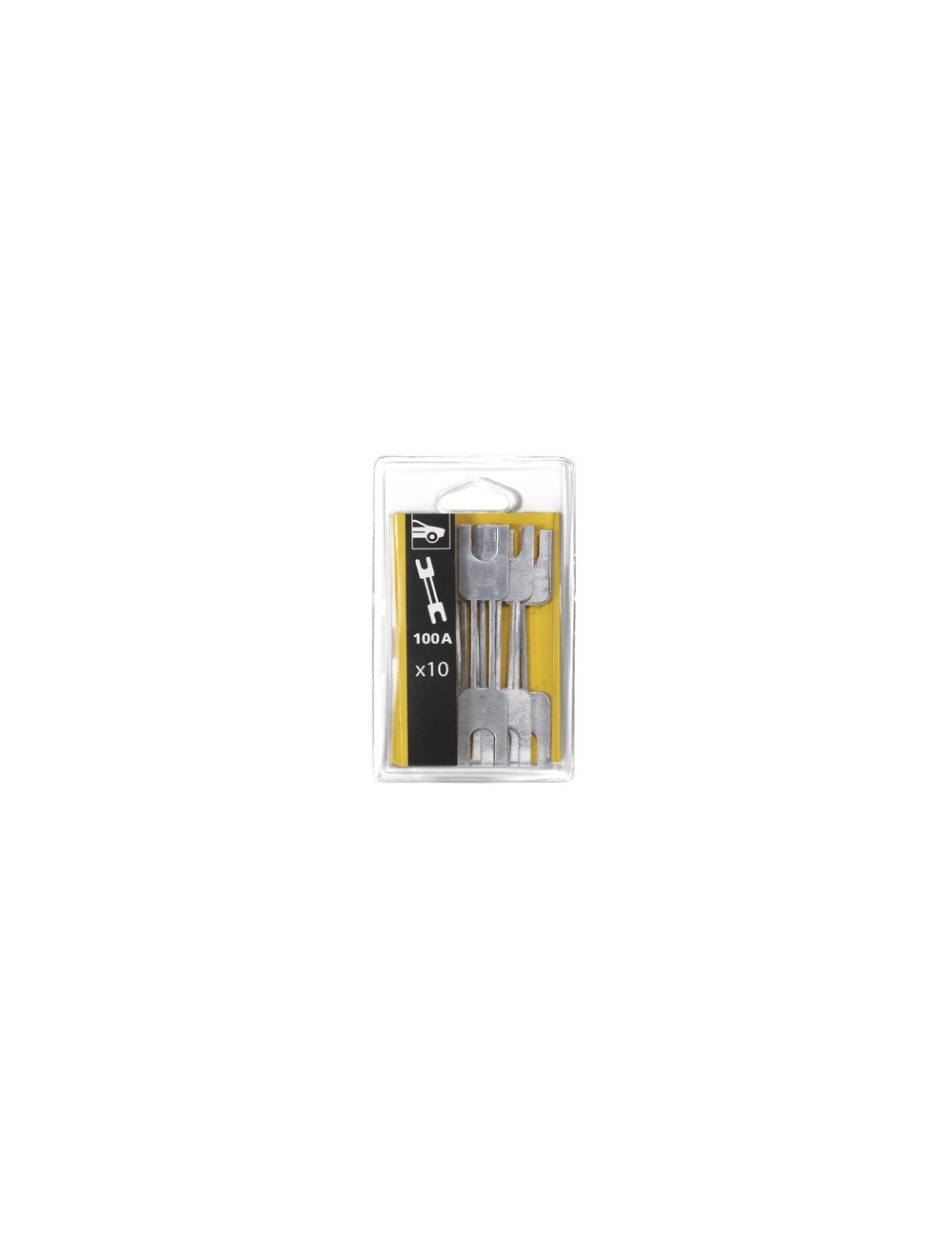 Kit 10 Zekeringen 100A / Prostart / Gystart - Blister