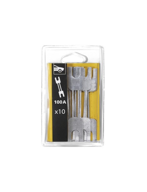 Kit 10 Zekeringen 100A / Prostart / Gystart - Blister