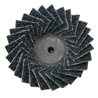 10 Zirkoon Mini Flexidiscs Ø 50Mm K40