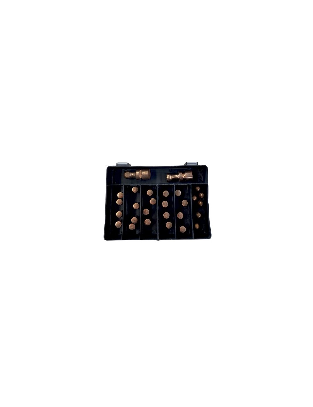 Coffret 20 capsules Type A + 6 capsules Type F + 2 électrodes Boule (C6 et G2)