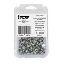 100 Zelf-Piercing Stalen Klinknagels Ø5,3 X 6,0 Mm - Blister