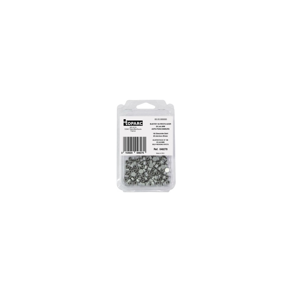 100 Zelf-Piercing Stalen Klinknagels Ø5,3 X 6,0 Mm - Blister
