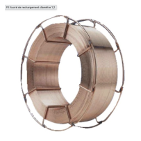 Mag Draad Herladen Staal Ø1,2 - Ecologische Spoel B300 16Kg - Tz Fe2